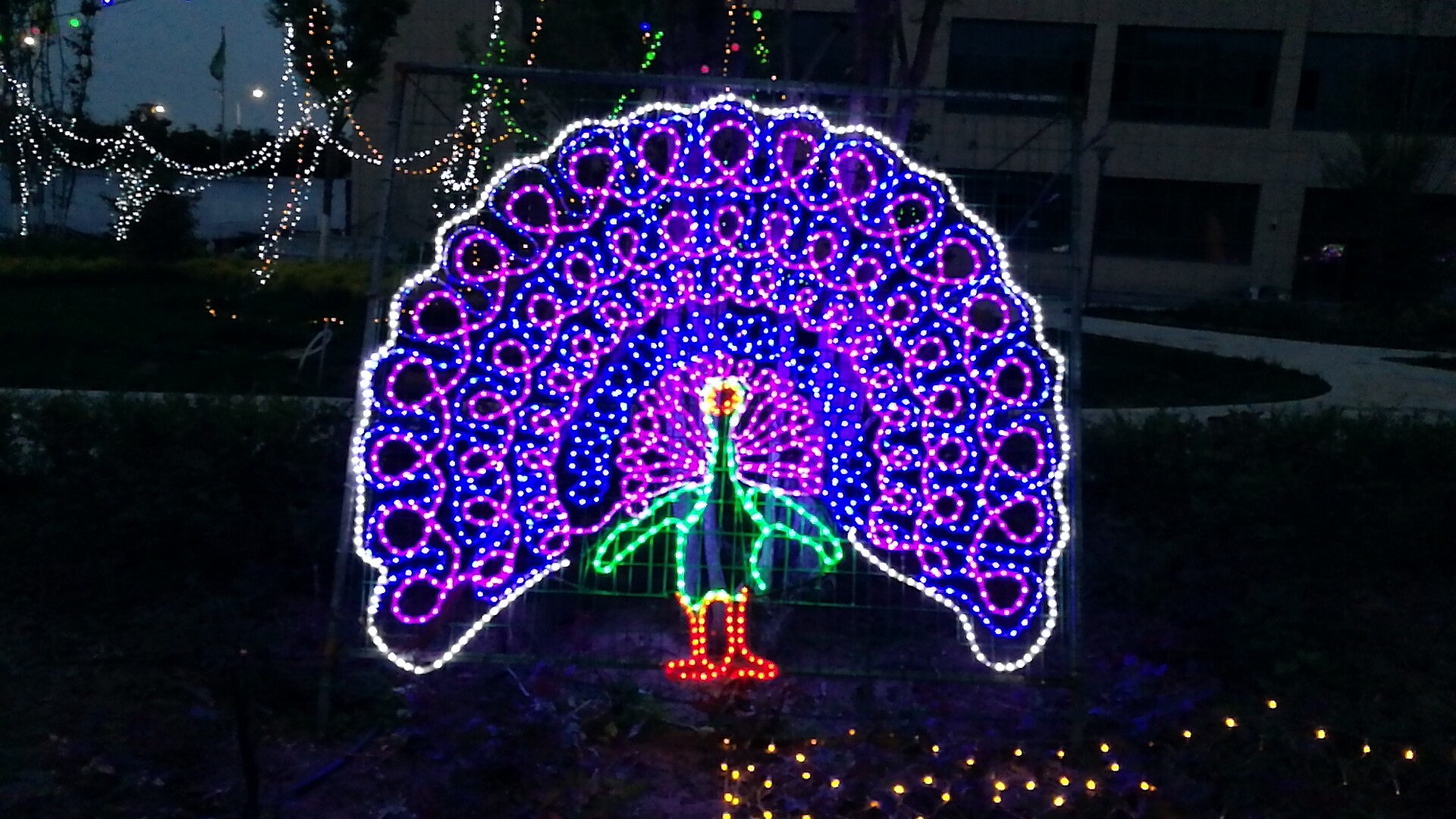 兰州新区人生就是博世贸广场“花漾灯光艺术节”接待你！