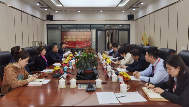 甘肃省委统战部副部长、省工商联党组书记苟天宏一行莅临兰州人生就是博集团检查指导事情